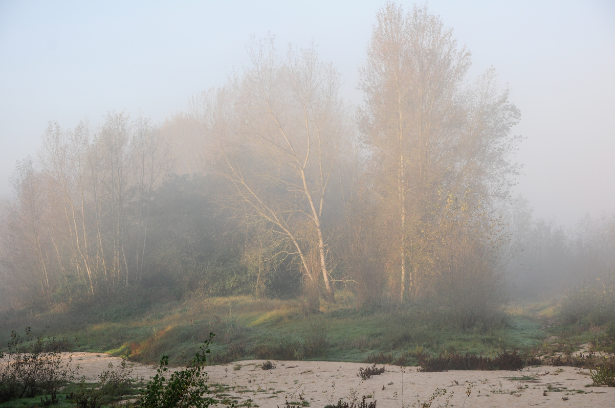 Brumes de Loire