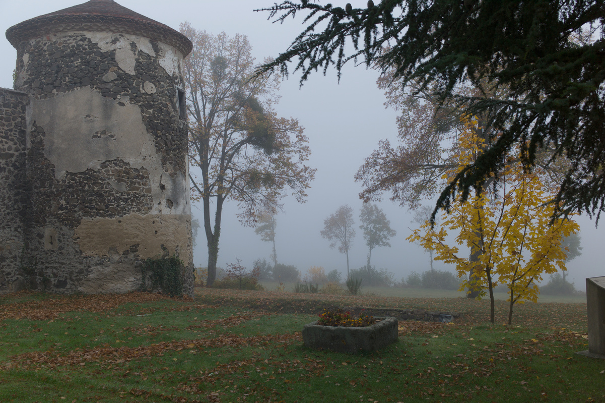 Brume forézienne