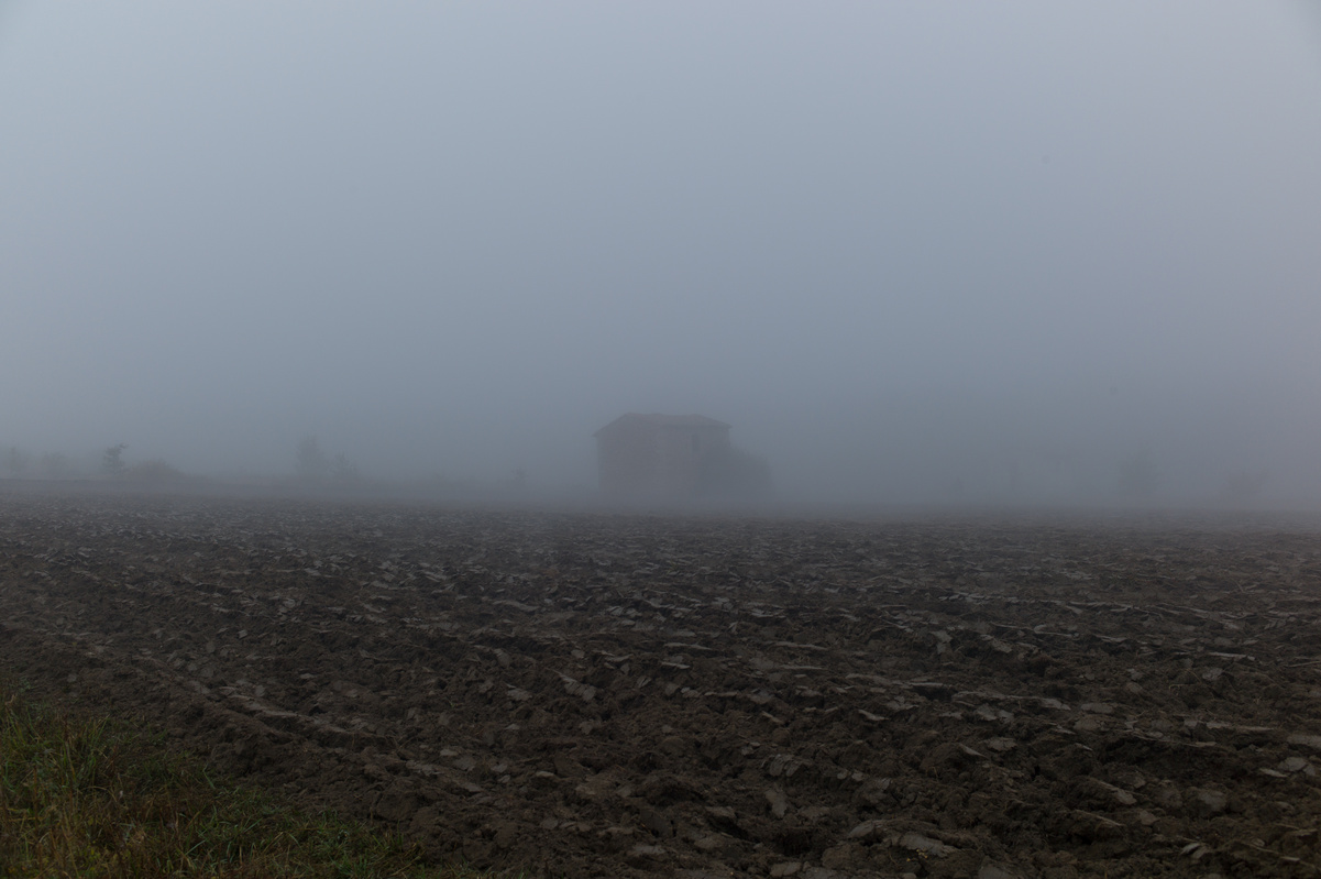 Brume rêveuse