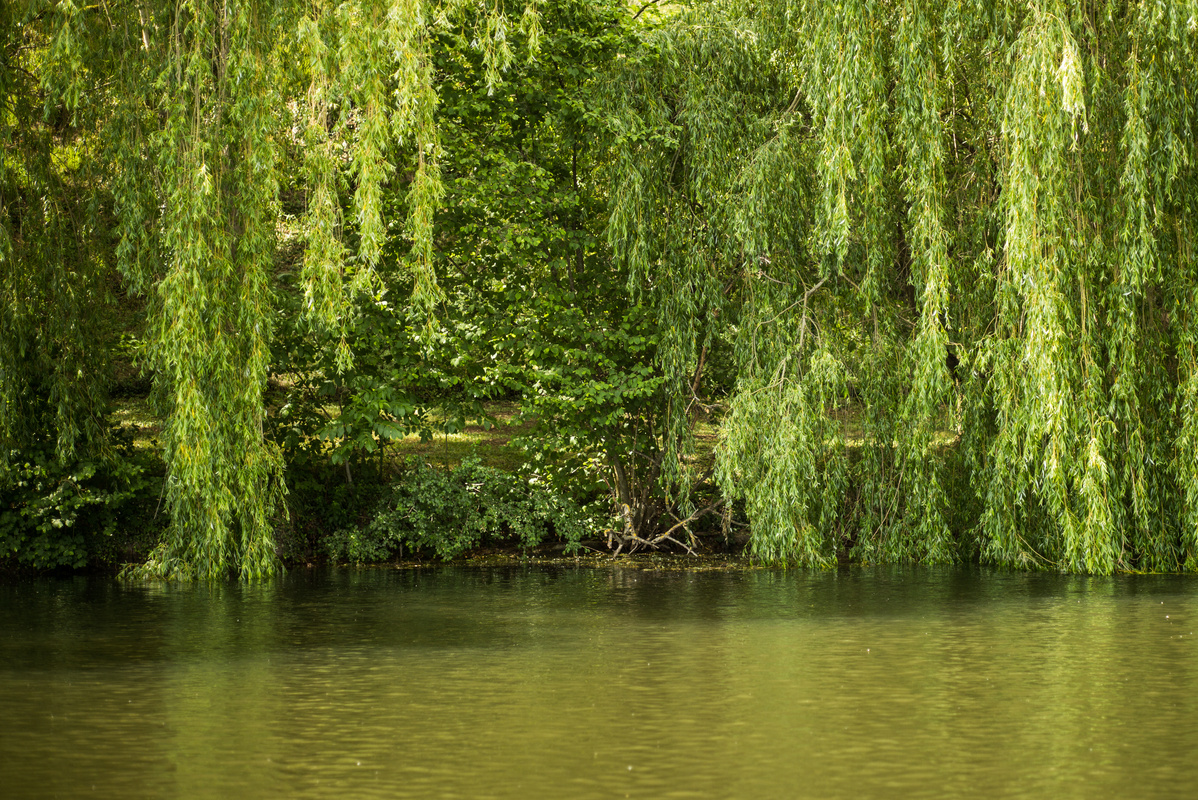 Loire tranquille